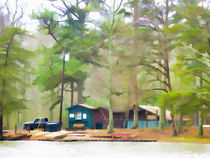 Lake Cheaha picnic area by lanjee chee