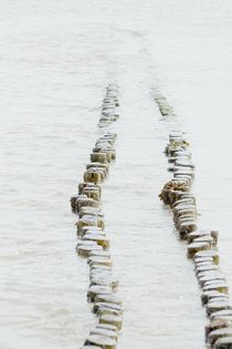 Buhnen an der Nordsee by leddermann