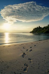 Spuren im Sand by Bruno Schmidiger