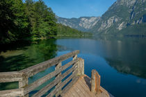 Bohinj's tranquility by Bor Rojnik