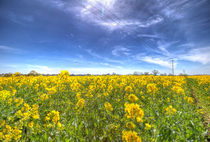 Yellow Fields Of Summer von David Pyatt