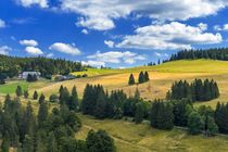 Black Forest / Gisiboden-Alm by Jörg Sobottka