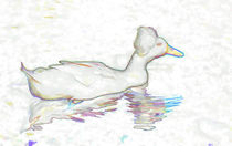 White Crested Duck von lanjee chee