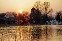 Abend im Park von Hartmut Binder