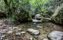 martinet-creek-aiguafreda-catalonia von Marc Garrido Clotet