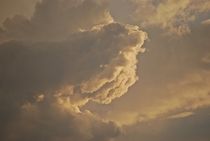 Wolkenbilder... 9 von loewenherz-artwork