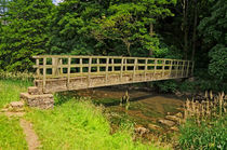 Gipsy Bank Bridge, Wolfscote Dale von Rod Johnson