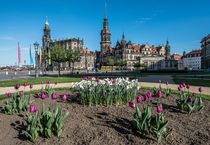 Die Dresdner Altstadt im Frühling II – Fotografie von elbvue by elbvue