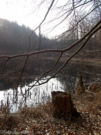 Der Baasee bei Bad Freienwalde von voelzis-augenblicke