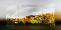 Regenbogen -  Rainbow von Chris Berger