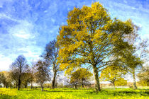 English Summer Farm Art by David Pyatt