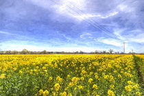 Yellow Fields Of Summer Art von David Pyatt