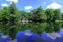 Freiburg Waldsee  von Patrick Lohmüller