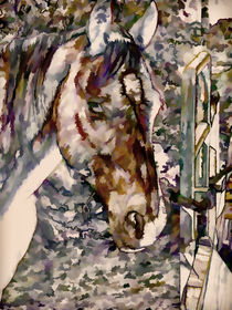 Portrait of Horse von lanjee chee