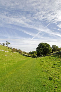 Lathkill Dale by Rod Johnson