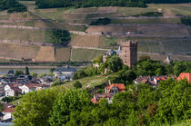 Burg Klopp 351 by Erhard Hess