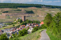 Burg Klopp + Niederwalddenkmal by Erhard Hess