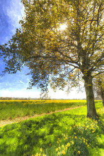 The Daffodil Summer Farm Art von David Pyatt