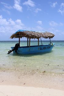 Caribbean Boat by Tricia Rabanal