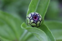 Mosaikball von Hendrik Molch