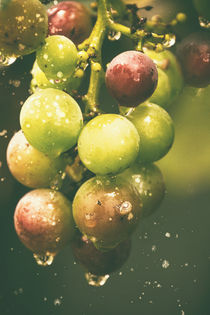 Sparkling drops- Weintrauben von Chris Berger