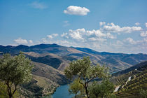 Coa, Nebenfluss des Douro, Portugal by Hartmut Binder