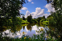 Summer pond by Yuri Hope