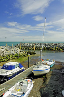 Ventnor Harbour by Rod Johnson