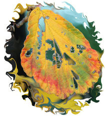 Herbst-Blattlöcher von Nikola Hahn