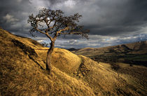 Along the Pennine Way by chris-drabble