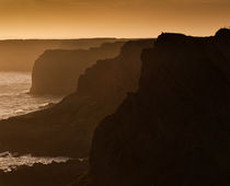 Gower cliffs at dusk von Leighton Collins