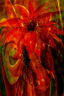 Phönix - Kaktusblüte abstrakt by Chris Berger