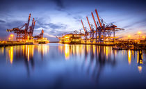 Waltershofer Hafen IV by photoart-hartmann