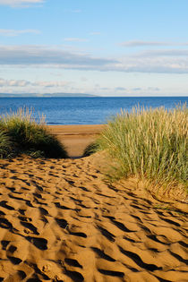 A new morning in the dunes von Thomas Matzl