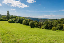 Wiesenlandschaft beim Spitznack 76 von Erhard Hess