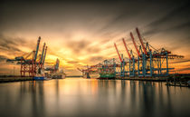 Waltershofer Hafen V by photoart-hartmann