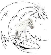 Pony-Power „Surfin" by cavallo-magazin