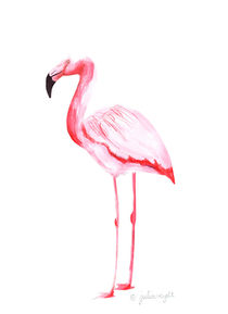 Flamingo 2 von Julia Reyelt