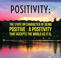 Positivity  von Vincent J. Newman