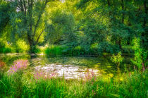 Pond von Wolfgang Gürth