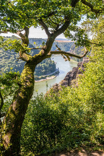 Loreleytal von Süden 49 von Erhard Hess