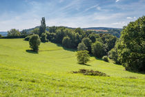 Wiesenlandschaft beim Spitznack 94 von Erhard Hess