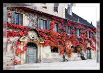 An der Schlossmauer - Wilder Wein von Chris Berger