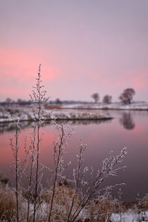 Winter Sunset At River Bank von STEFARO .