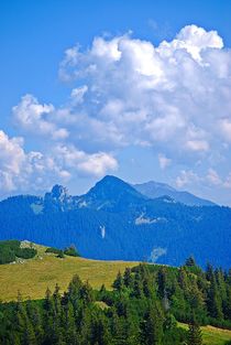 Ausblick vom Hirschberg... 2 by loewenherz-artwork