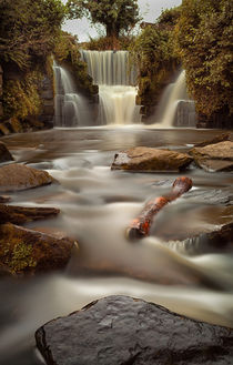Waterfalls at Penllergare woods von Leighton Collins