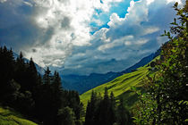 Zillertal - Grüne Matten am Berg von Hartmut Binder