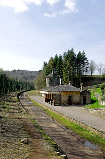 The Disused Alton Towers Railway Station von Rod Johnson