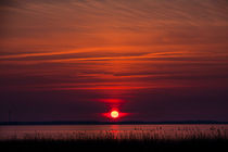 Bloodshot Sunset by Jessy Libik