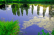 The River Trent Reveals by Rod Johnson